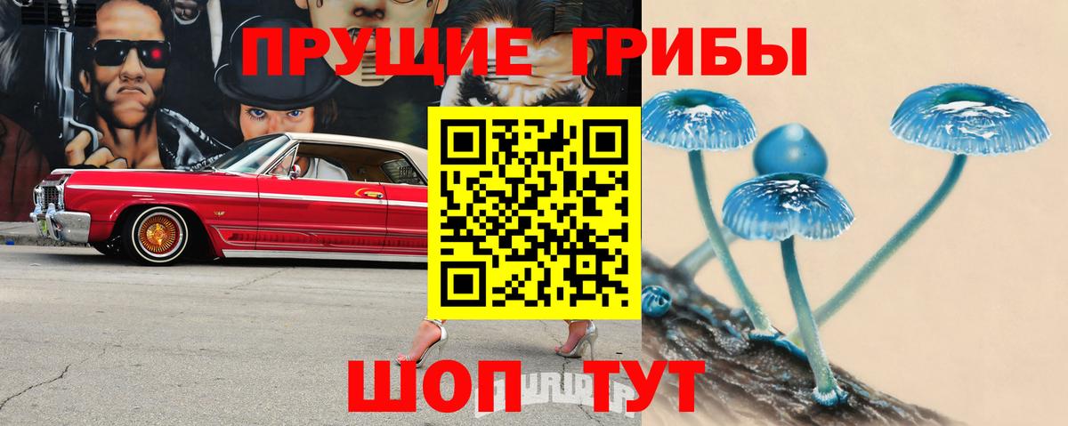 Псилоцибиновые грибы прущие грибы Юрга